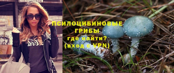 а пвп мука Карпинск