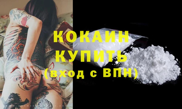 сатива Иннополис