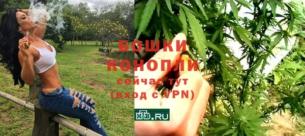 прущие грибы Кодинск